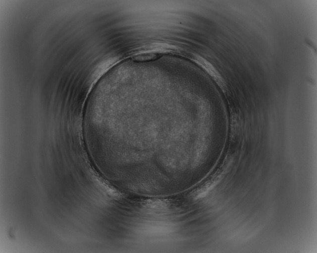 X0000091910850200710031017