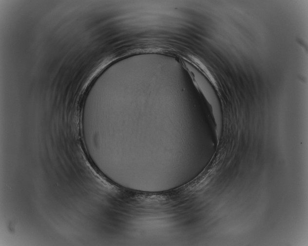 X0000091910851200710031017