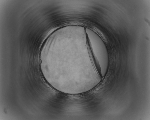 X0000091910852200710031018