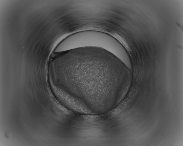 X0000091910854200710031018