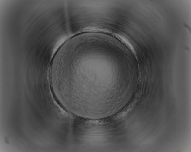 X0000091910855200710031018