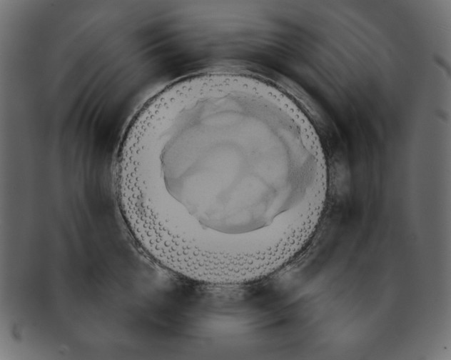 X0000091910856200710031018