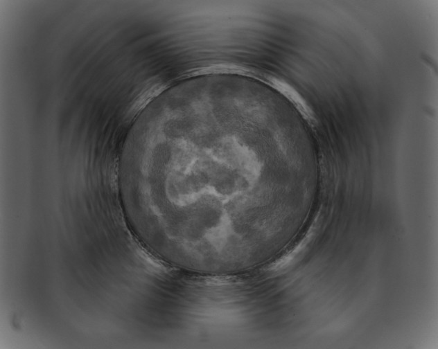 X0000091910857200710031018