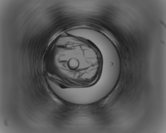 X0000091910858200710031018