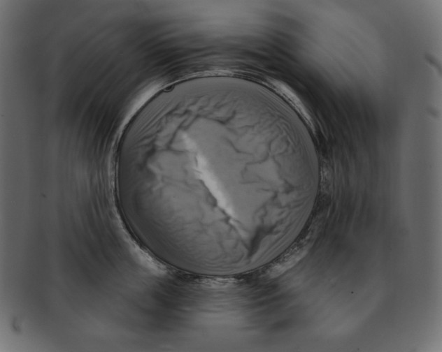 X0000091910859200710031018