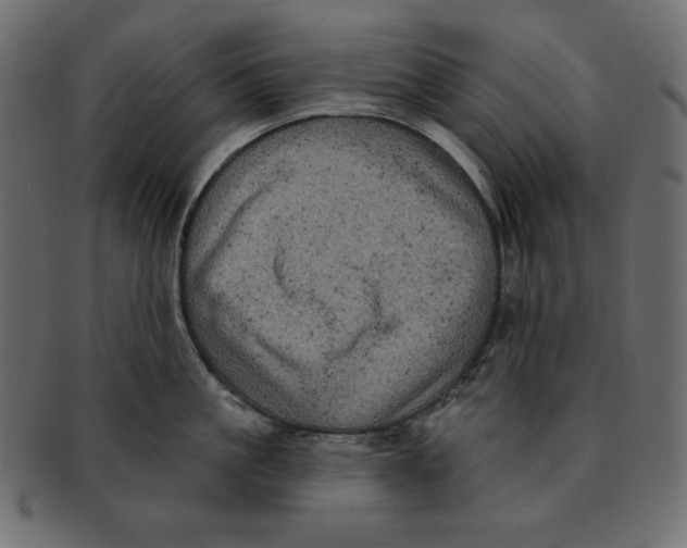 X0000091910861200710031018