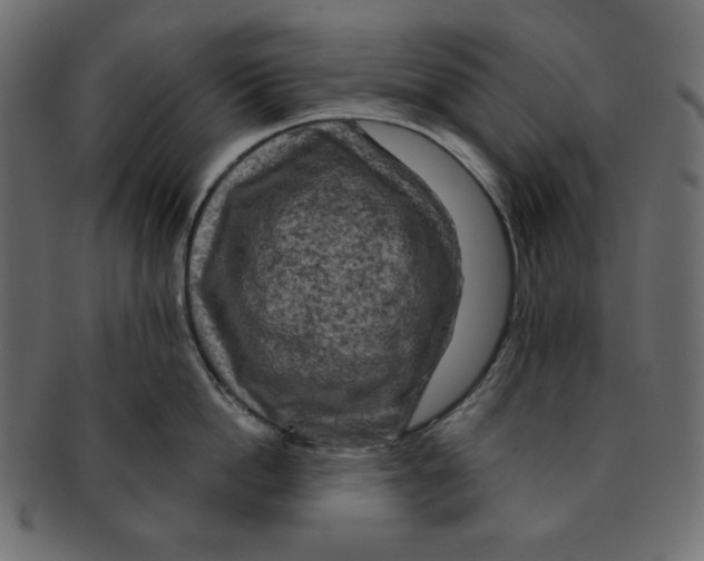 X0000091910862200710031018