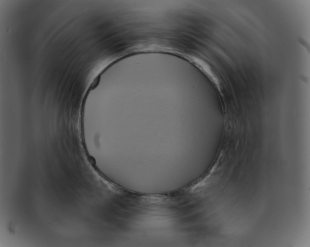 X0000091910863200710031018