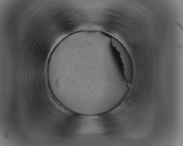 X0000091910864200710031018