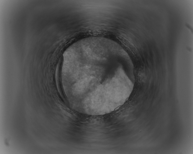 X0000091910865200710031017