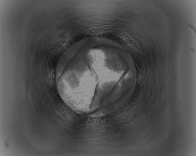 X0000091910866200710031017