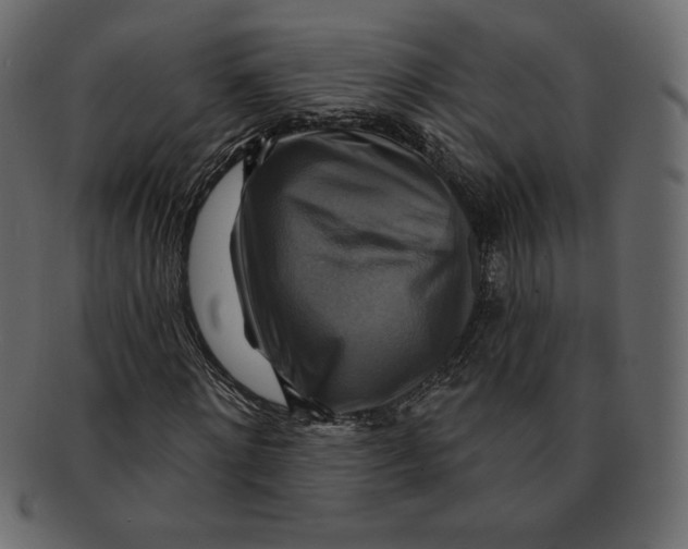 X0000091910868200710031017