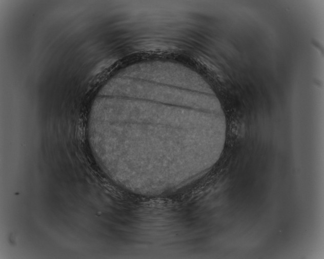 X0000091910869200710031017