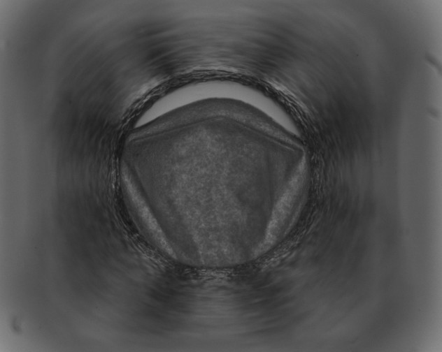 X0000091910870200710031017