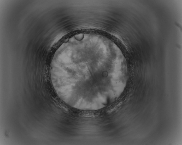 X0000091910871200710031017