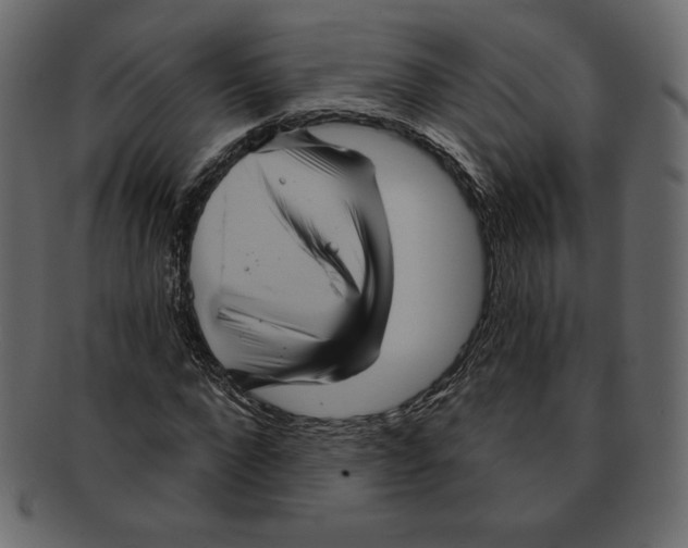 X0000091910872200710031017