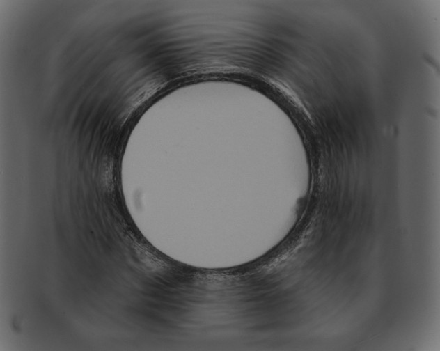 X0000091910873200710031017