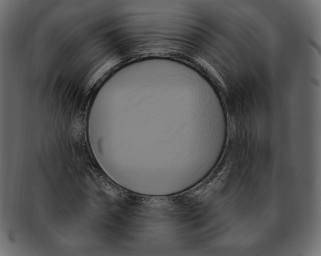 X0000091910874200710031017