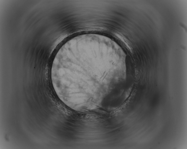 X0000091910875200710031017