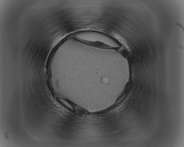 X0000091910876200710031017