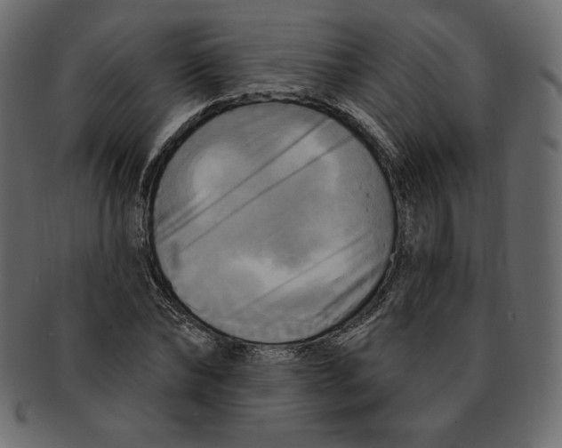 X0000091910878200710031017