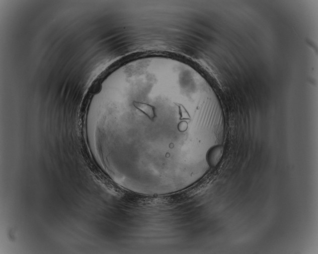 X0000091910879200710031017