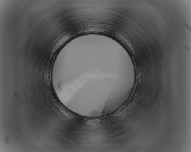 X0000091910882200710031017