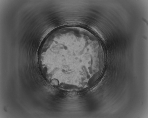 X0000091910883200710031017