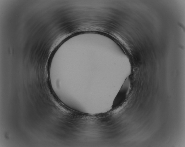 X0000091910885200710031017