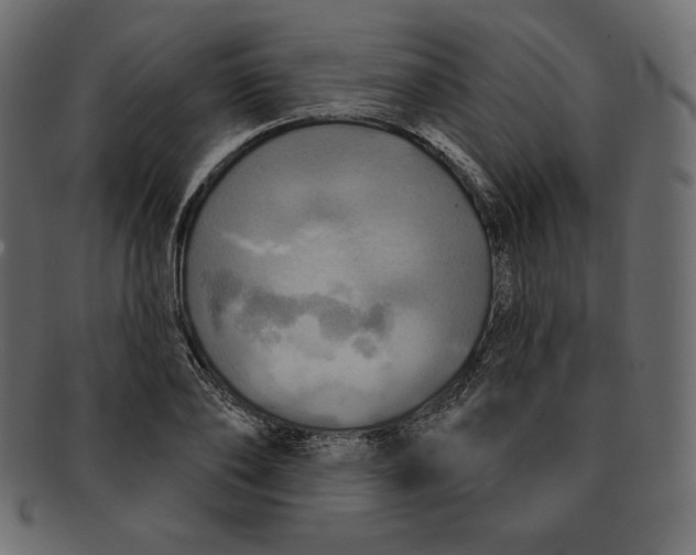 X0000091910886200710031017