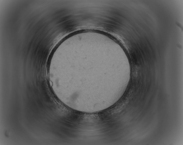 X0000091910887200710031017