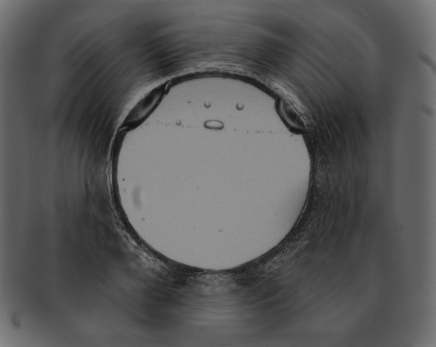 X0000091910888200710031017