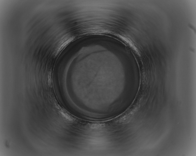 X0000091910889200710031017