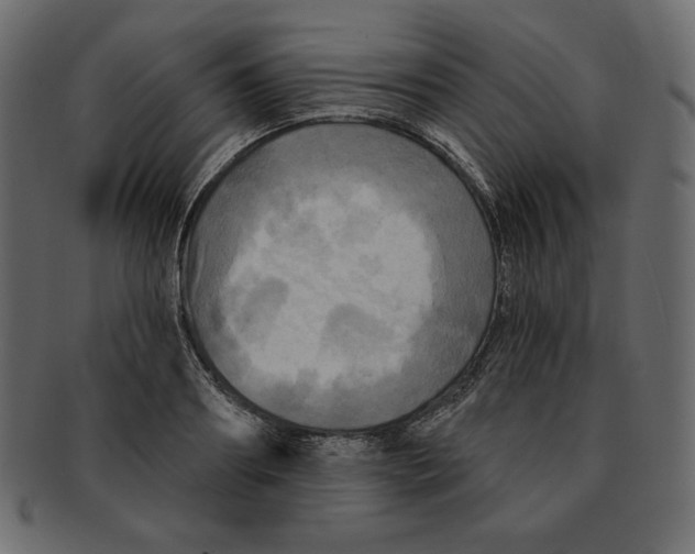 X0000091910890200710031017