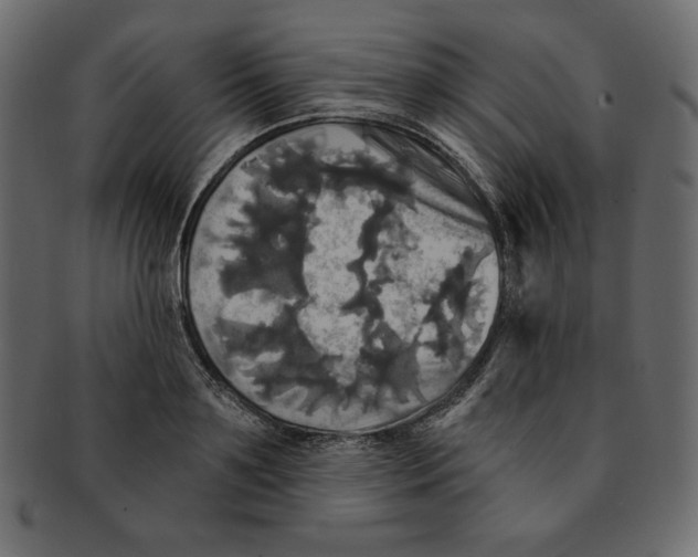 X0000091910891200710031017