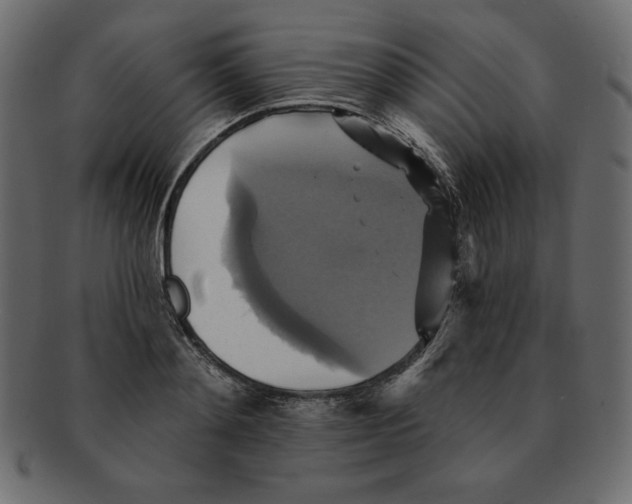 X0000091910892200710031017