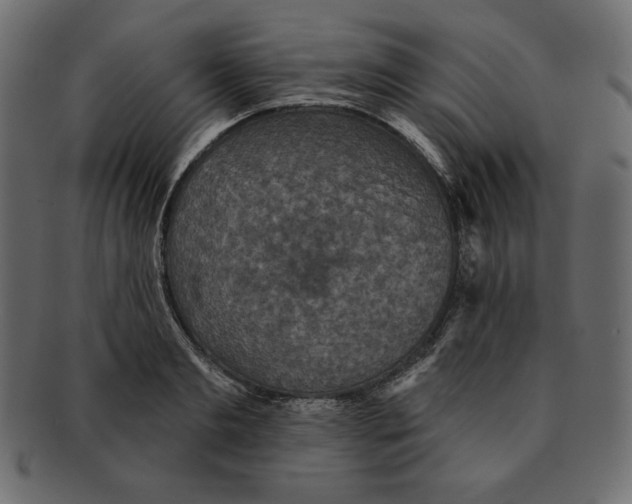 X0000091910893200710031017