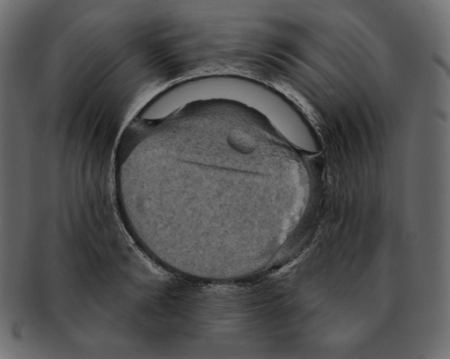 X0000091910894200710031017