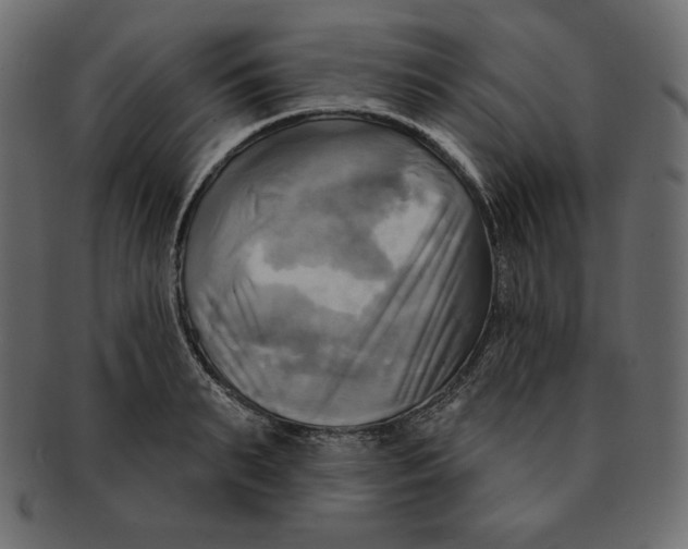 X0000091910895200710031017