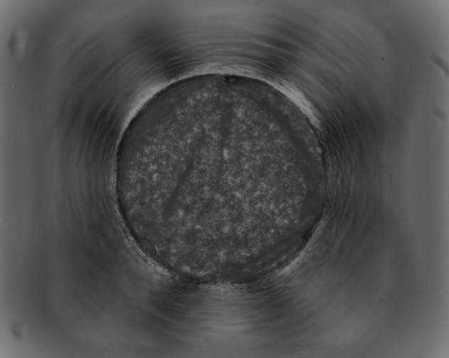 X0000091910896200710031017