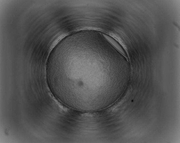 X0000091910898200710031017