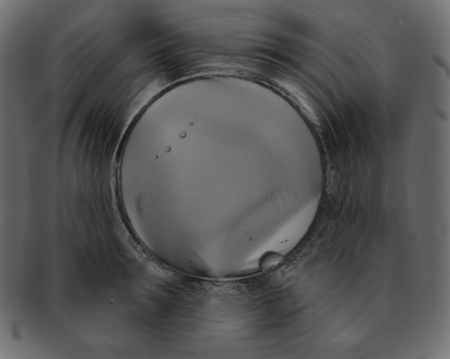 X0000091910899200710031017