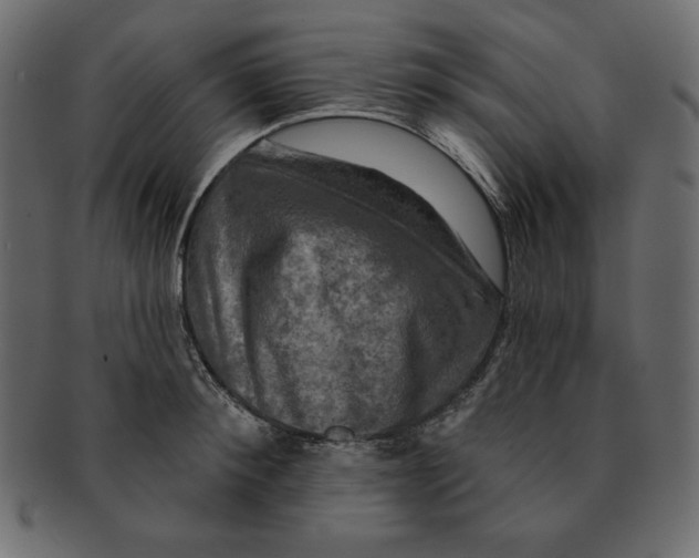 X0000091910900200710031017