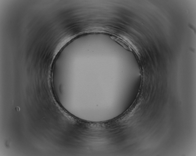 X0000091910901200710031017