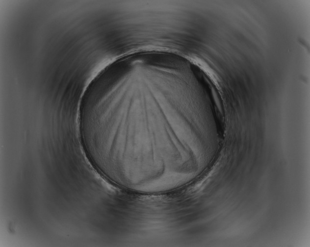 X0000091910902200710031017