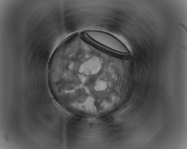 X0000091910903200710031017