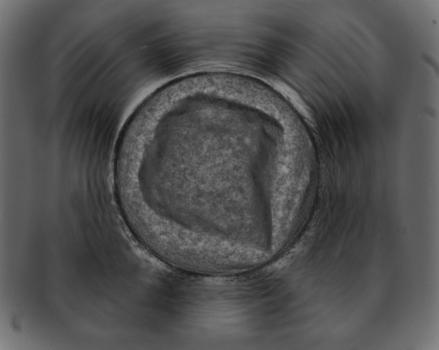 X0000091910904200710031017