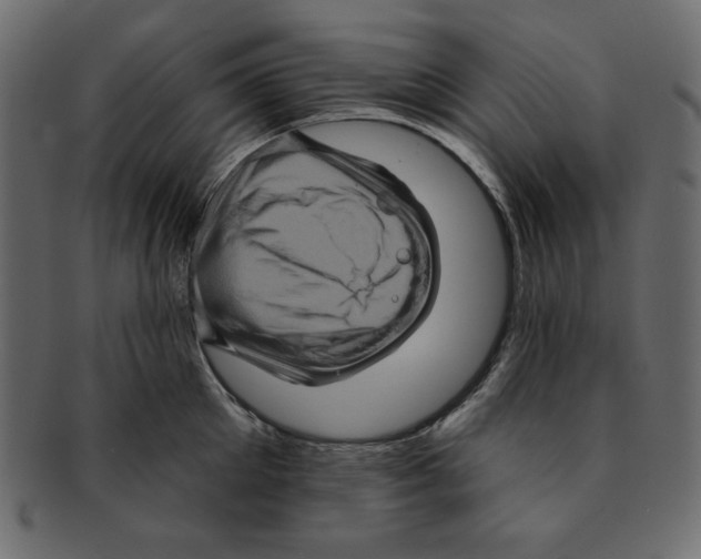 X0000091910905200710031017