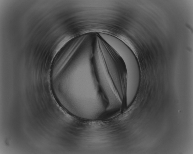 X0000091910906200710031017