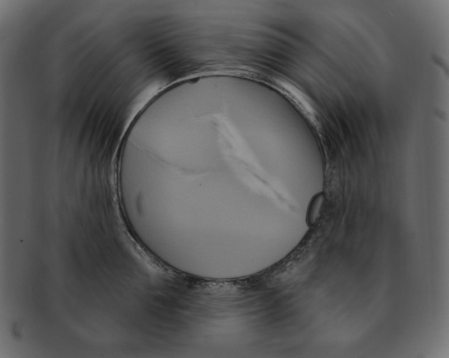 X0000091910907200710031017